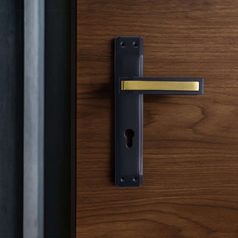 JOVI 630 Backplate door handle placed on a wooden door; black/gold