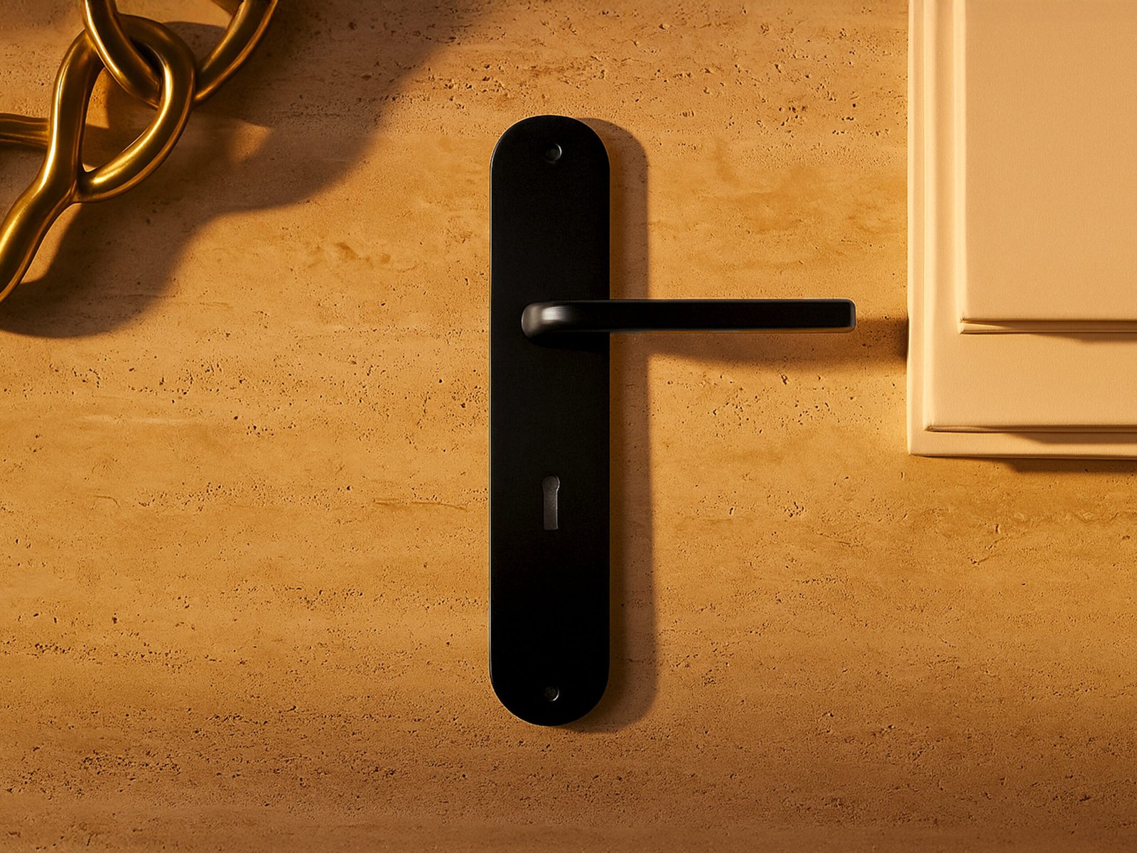 TIDLO 509 black backplate room handle placed on wooden surface