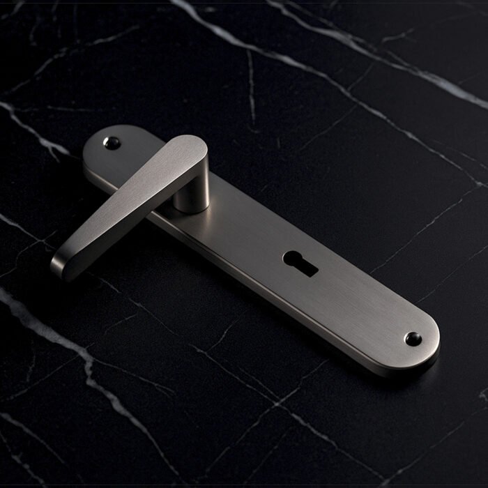 TIDLO 504 silver backplate bathroom door handle placed on a black marble surface